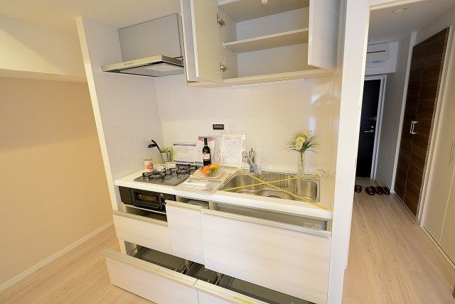 世田谷台ピロティ 205キッチン