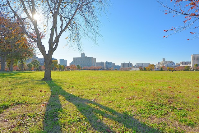 大島小松川公園