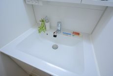 世田谷台ピロティ 205 洗面