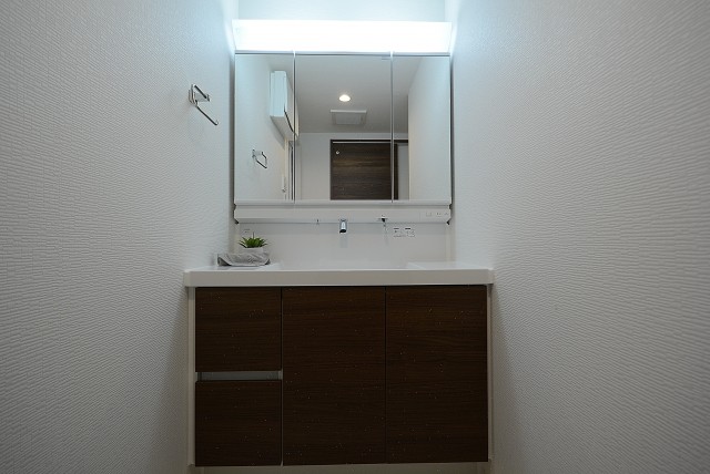 ラインズマンション根岸東 洗面