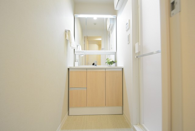 入谷アムフラット 洗面