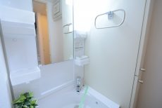 トーシンフェニックス上野毛 洗面