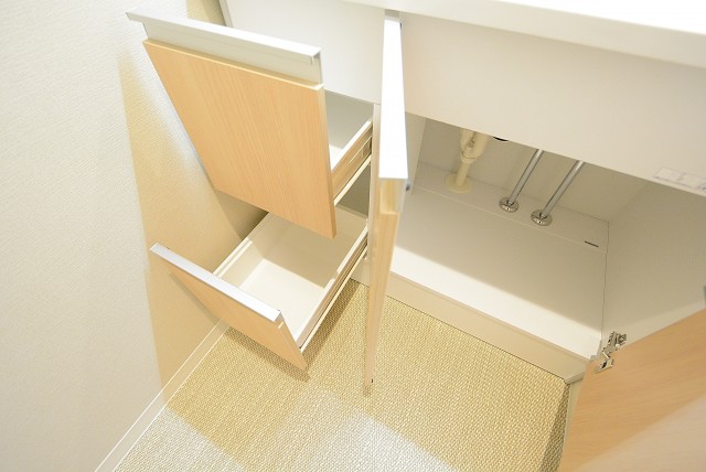 入谷アムフラット 洗面