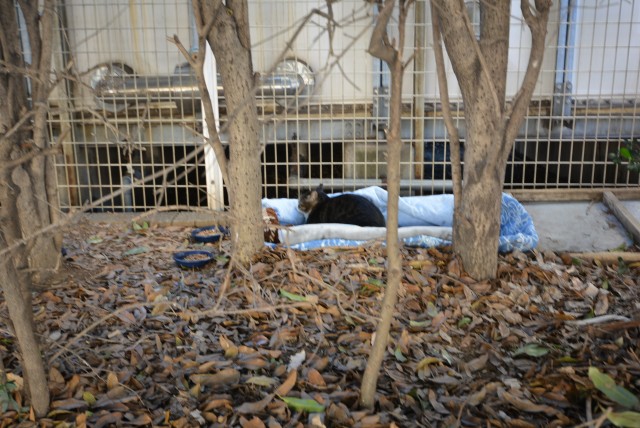 平和島ボートレース