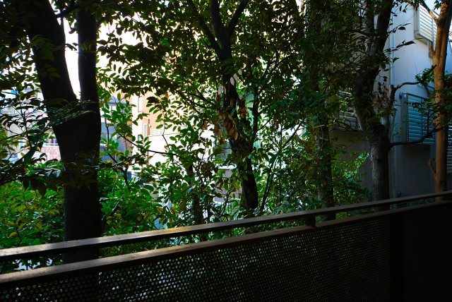 ソフィア高輪 バルコニー ソフィア高輪 バルコニー