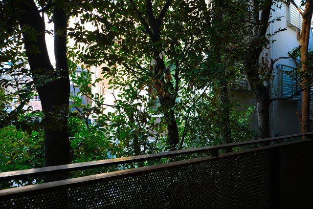 ソフィア高輪 バルコニー