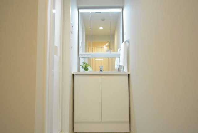 エクセルシオール碑文谷 洗面