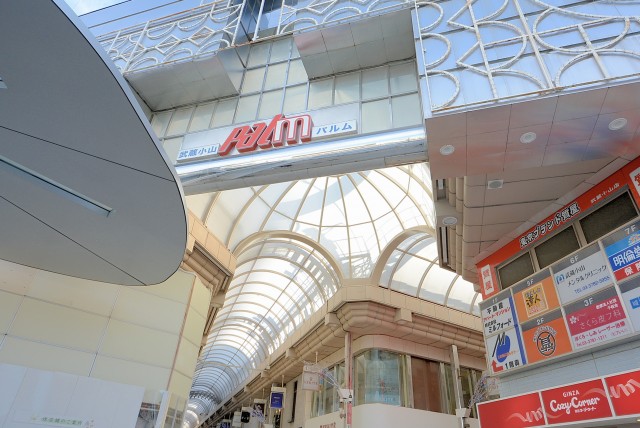 武蔵小山駅周辺　武蔵小山パルム