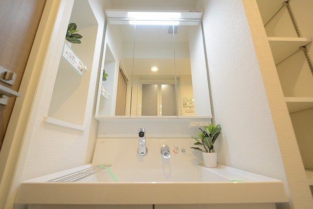 秀和大森レジデンス 洗面