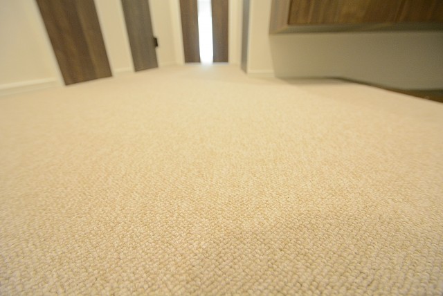 上野毛ハイム 玄関