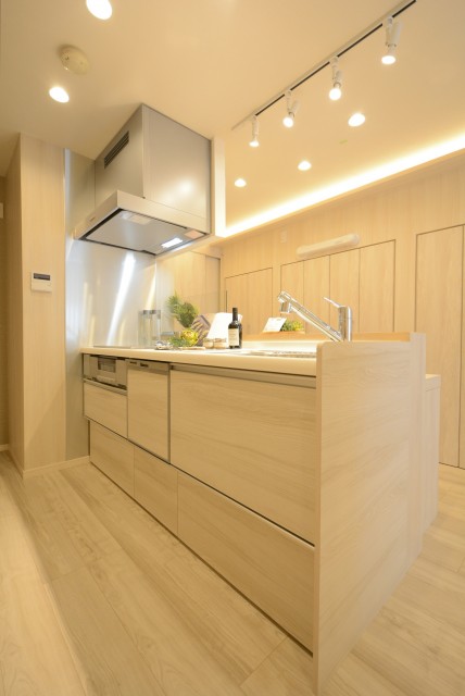 エスポワール渋谷松濤 キッチン