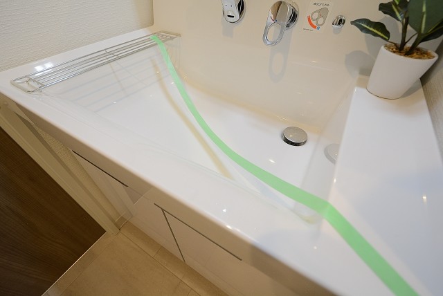 秀和大森レジデンス 洗面