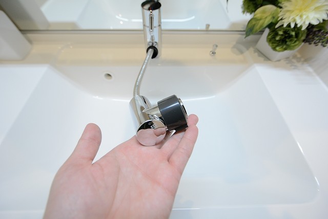 入谷アムフラット 洗面