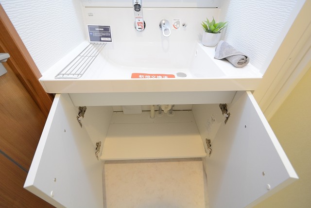 グランベル上野の杜 洗面