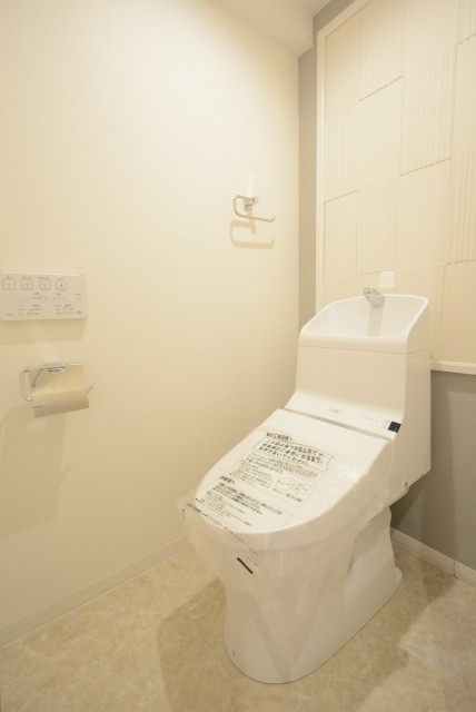 ダイアパレス自由が丘 (74)トイレ