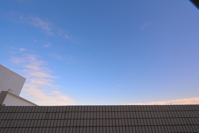 エクセルシオール碑文谷 洋室１