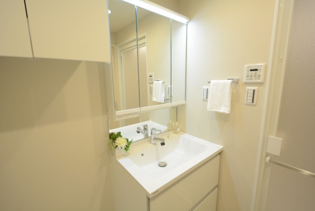 セザール第2中目黒 洗面