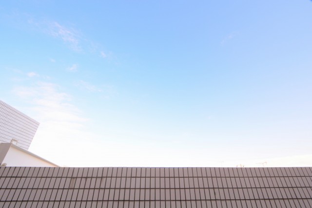 エクセルシオール碑文谷 洋室１