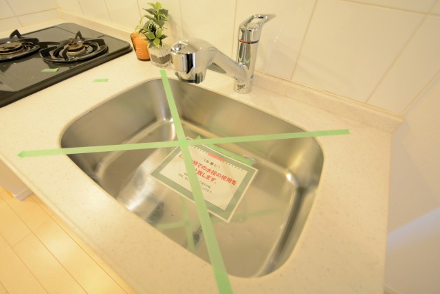 トーシンフェニックス上野毛 (43)キッチン