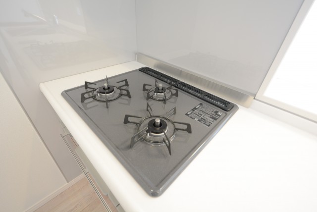 ヴィラロイヤル東中野 (19)キッチン
