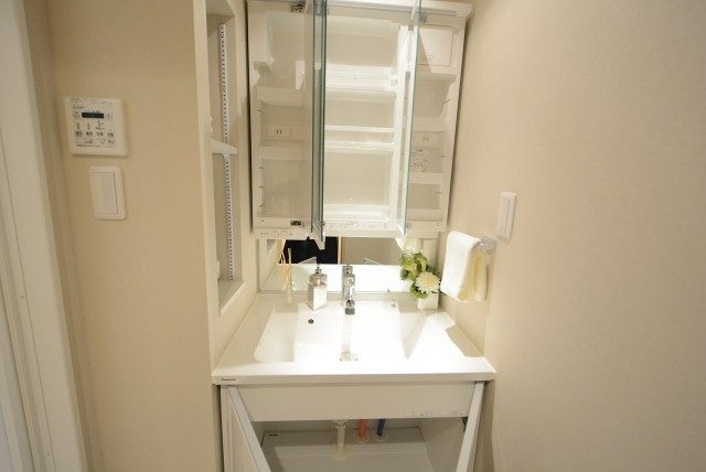 新宿御苑サニーコート (61)洗面