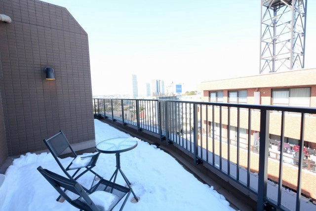 トーシンフェニックス上野毛 ルーフバルコニー