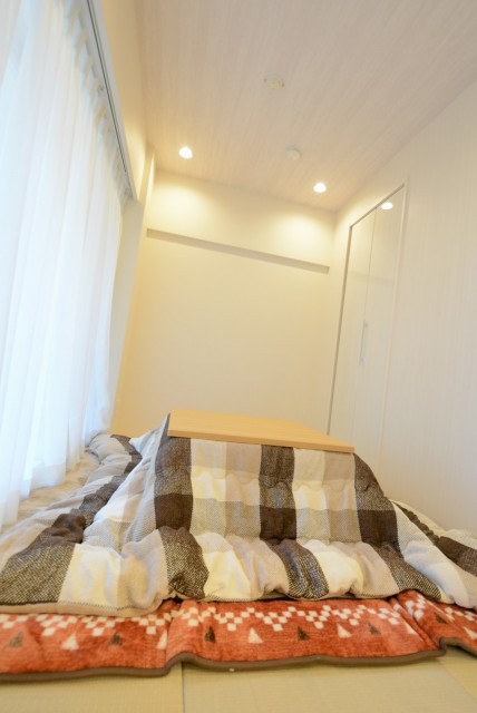 上野毛ハイム1号棟 和室