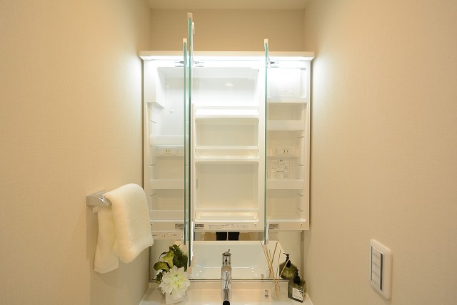 シャンボール柿の木坂 洗面