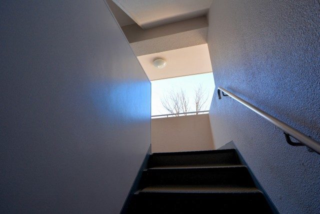 上野毛ハイム1号棟 外観 上野毛ハイム1号棟 外観