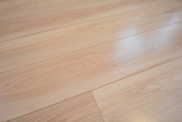 ダイアパレス自由が丘 リビング・ダイニング