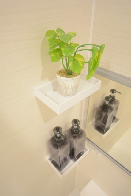 ダイアパレス自由が丘 浴室