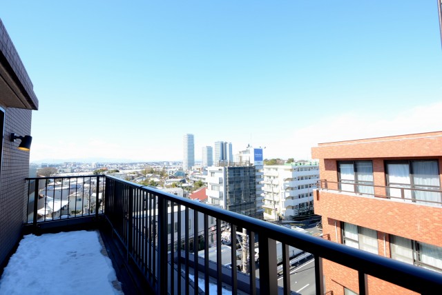 トーシンフェニックス上野毛 ルーフバルコニー