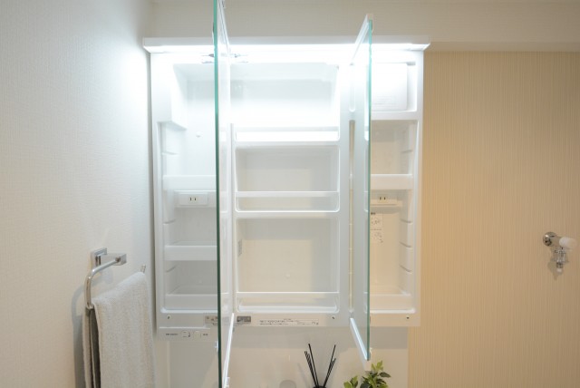 ダイアパレス自由が丘 洗面室