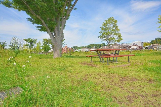 二子玉川公園 二子玉川公園