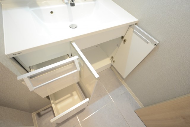 ヴィラロイヤル東中野 洗面室