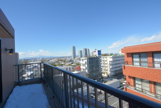 トーシンフェニックス上野毛 ルーフバルコニー