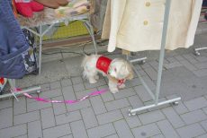 千歳烏山 駅周辺