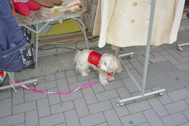 千歳烏山 駅周辺