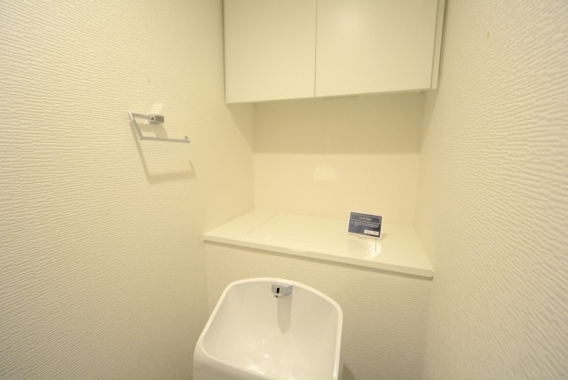 南六郷ビューハイツ トイレ