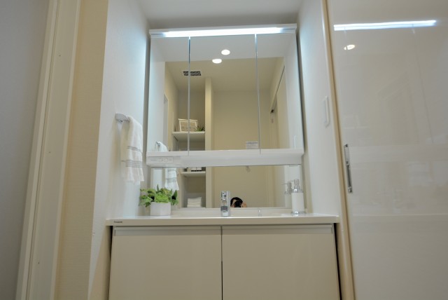 ダイアパレス中野本町 洗面