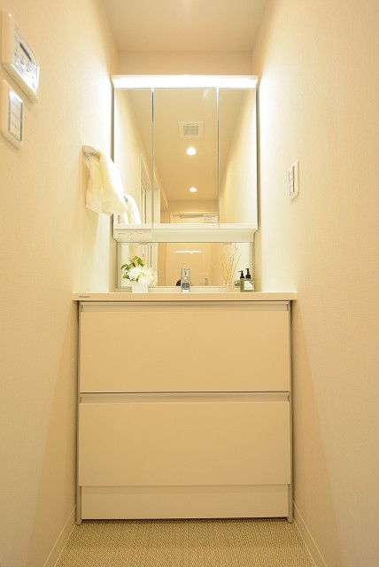 シャンボール柿の木坂 洗面