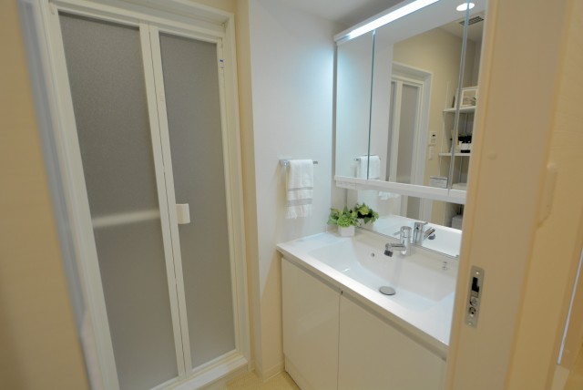 ダイアパレス中野本町 洗面