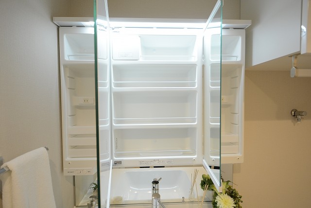 東急ドエル清水 (66)洗面