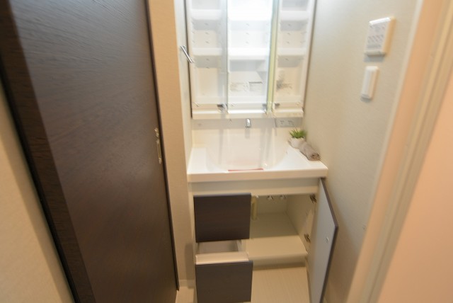 キャッスルマンション荒木町 洗面