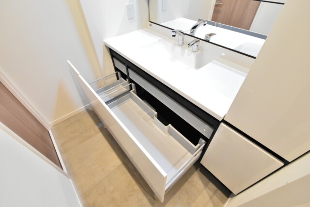 グランドメゾン目黒南 洗面室