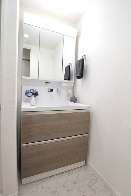 東中野ハイム 洗面台