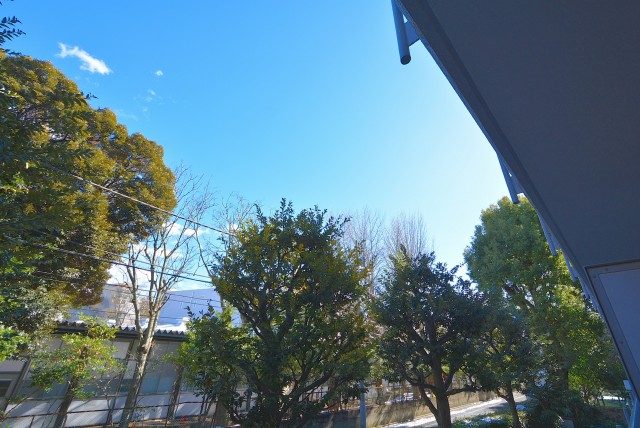 上野毛ハイム1号棟 バルコニー 上野毛ハイム1号棟 バルコニー