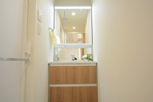 グランドメゾン目黒南 洗面