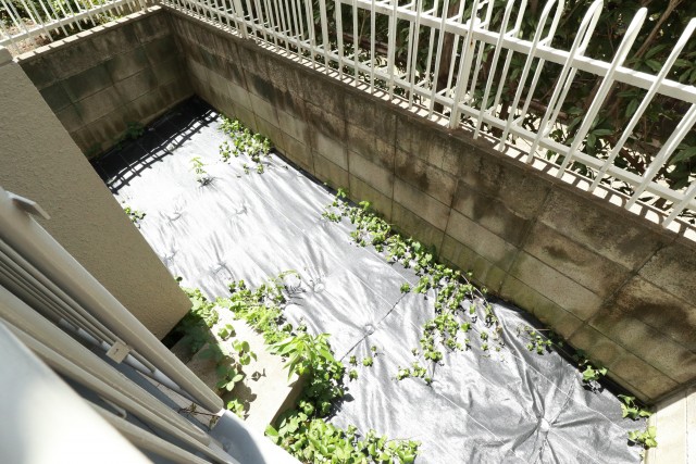 東中野ハイム バルコニー