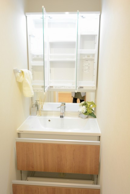 グランドメゾン目黒南 洗面